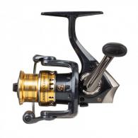 Carabus SX