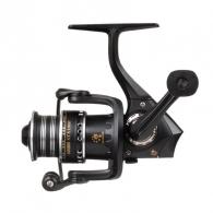 Carabus STX