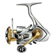 Freams CS LT