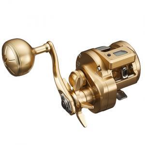 Daiwa 21 Basara IC 250P