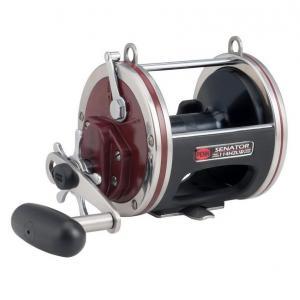 Penn Special Senator 114H2LW