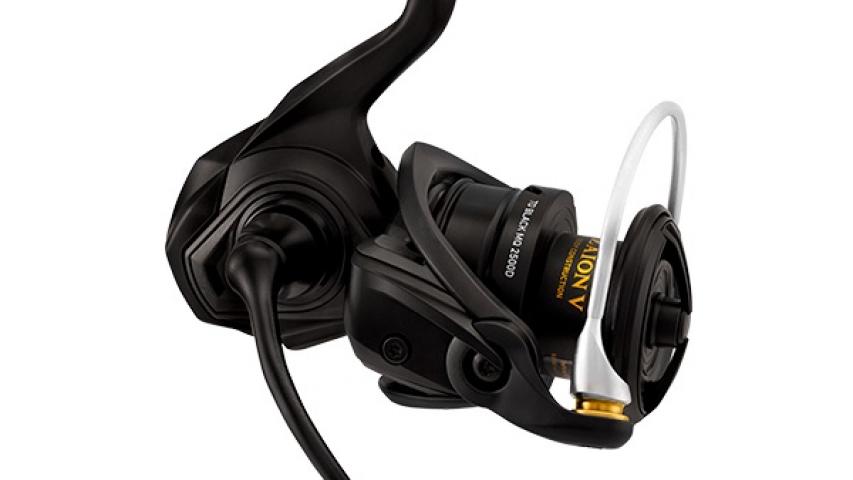 21 TD Black MQ