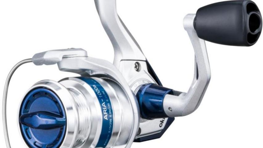 21 Aria A front/side