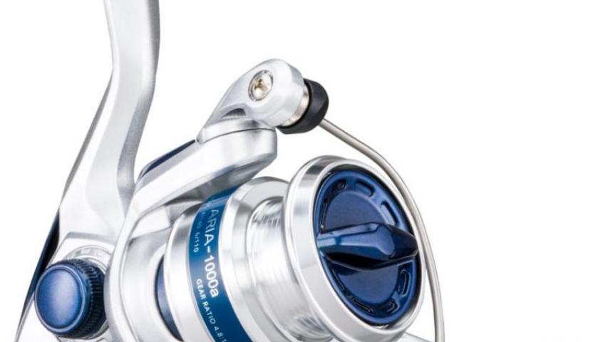 21 Aria A right side