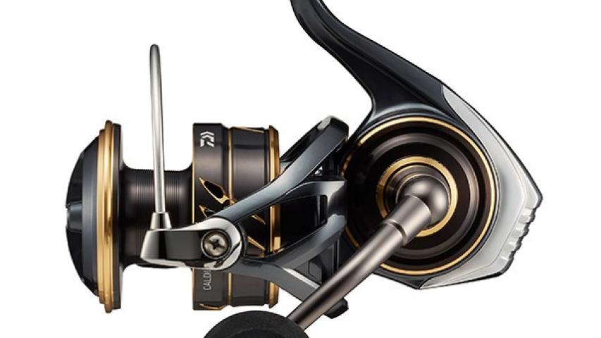 22 Caldia SW left side