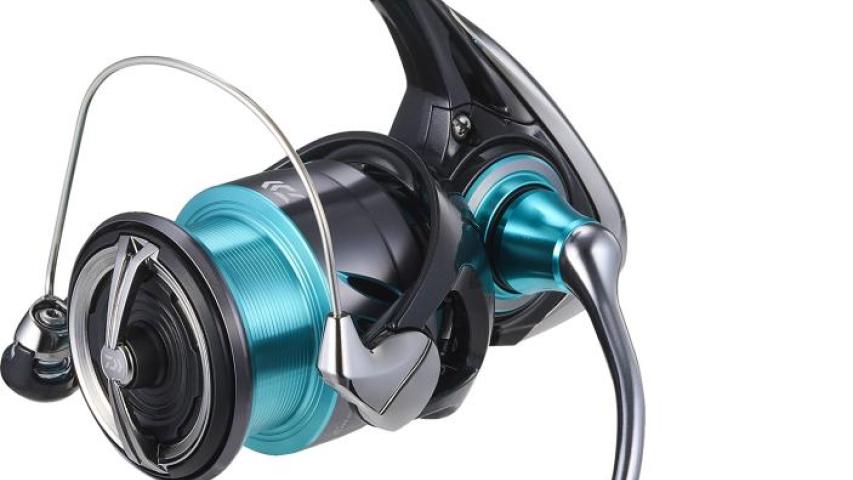 24 Emeraldas X front/side