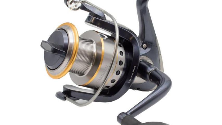 Cardinal 170 SWi side