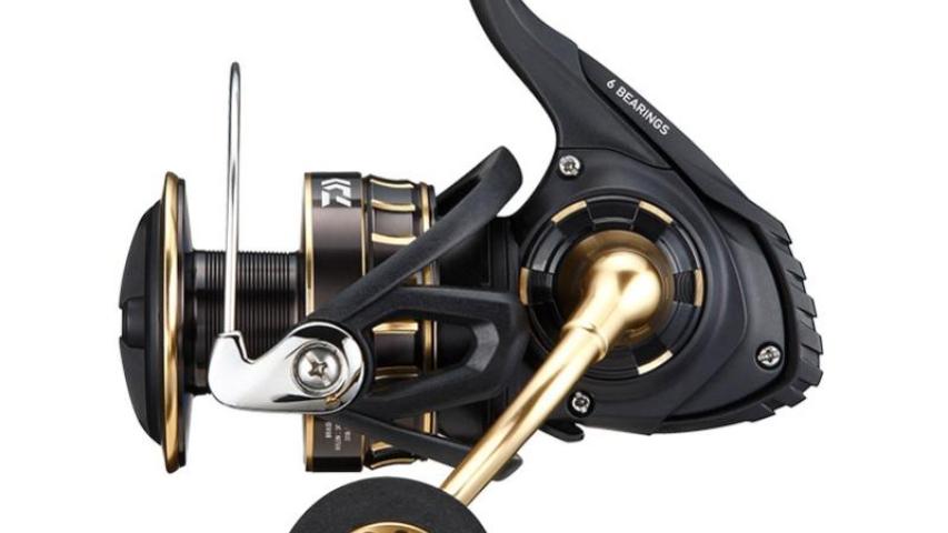 Daiwa 23 BG SW fishing reels