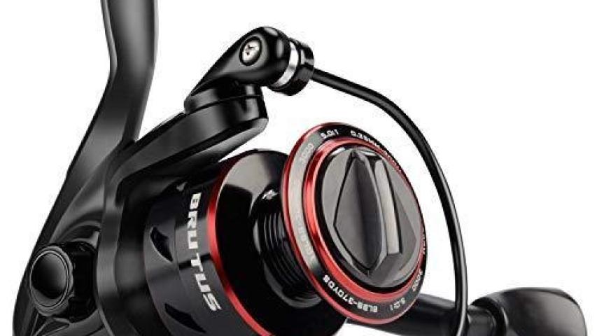 Brutus SP right side/front