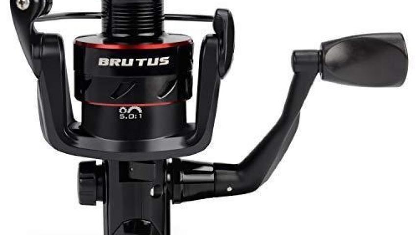 Brutus SP bottom