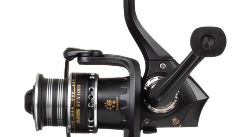 Carabus STX