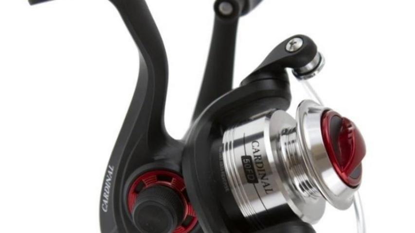 Cardinal 50 right side