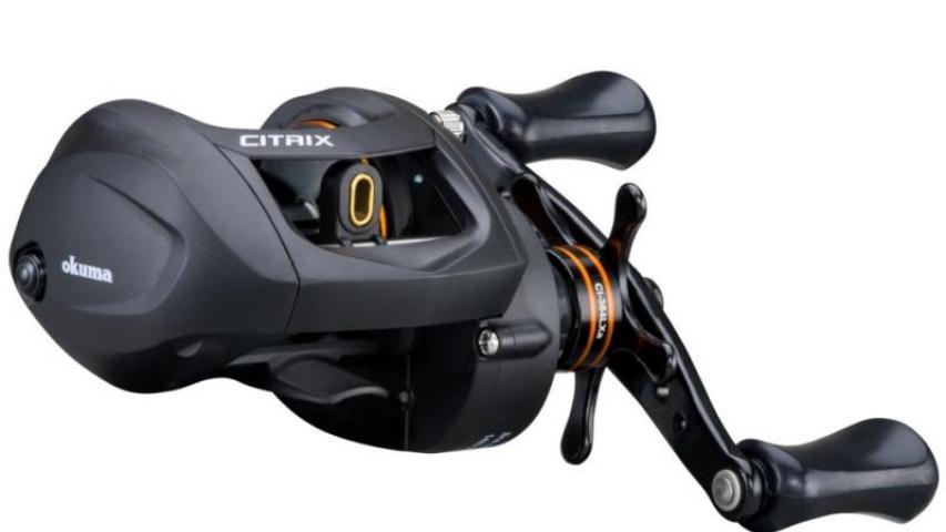 Citrix LP right side