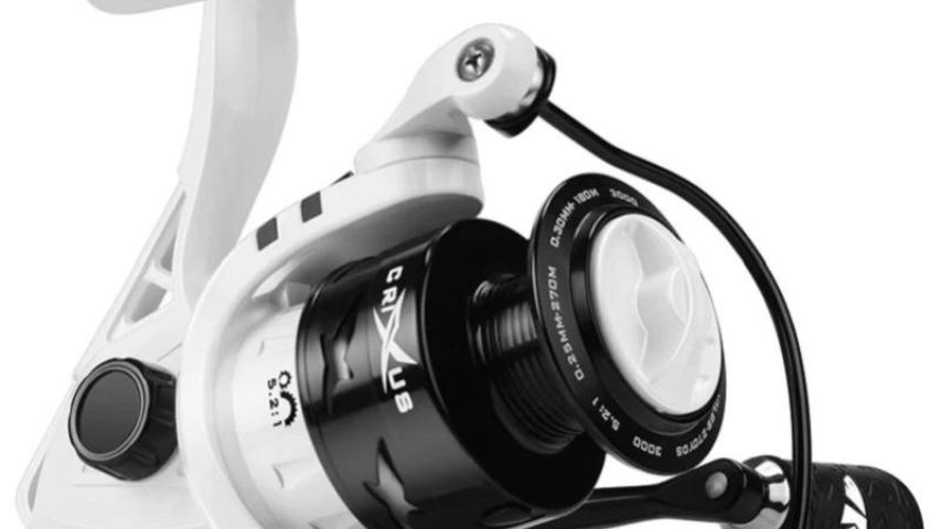 Crixus SP right side/front