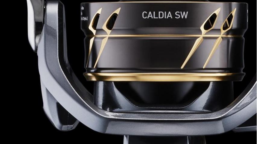 22 Caldia SW rotor