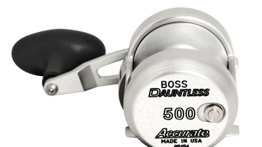 Dauntless plate side