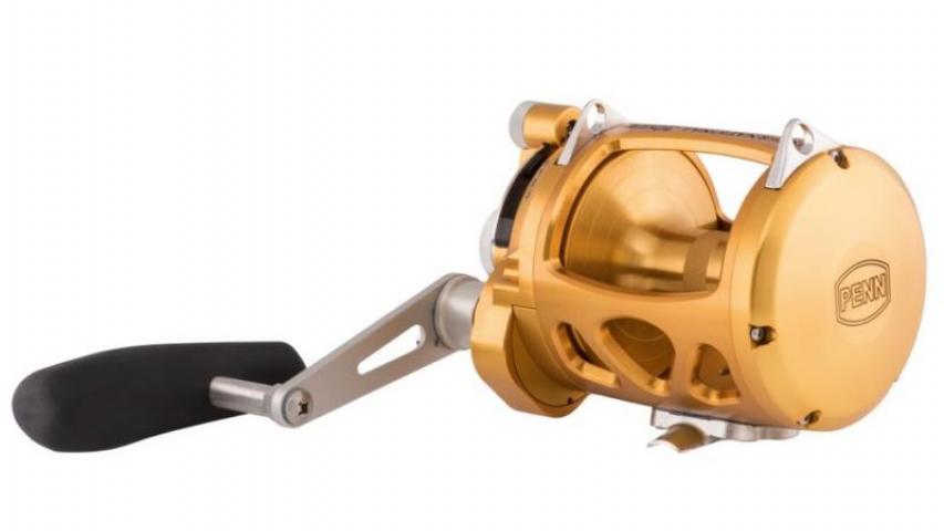 International VI gold left side