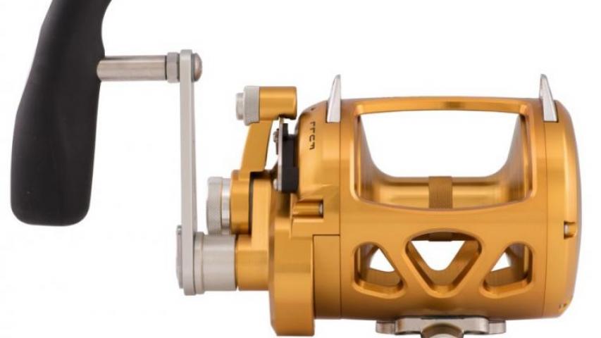 International VI gold front