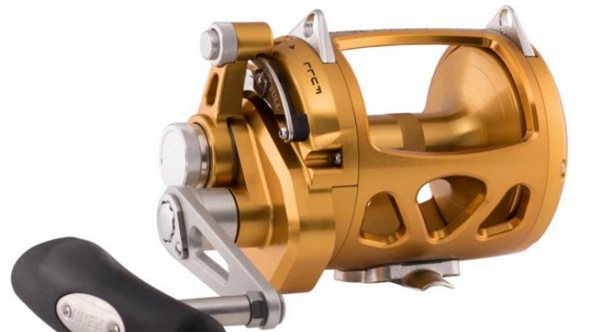 International VI gold