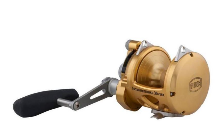 International VISX gold left side