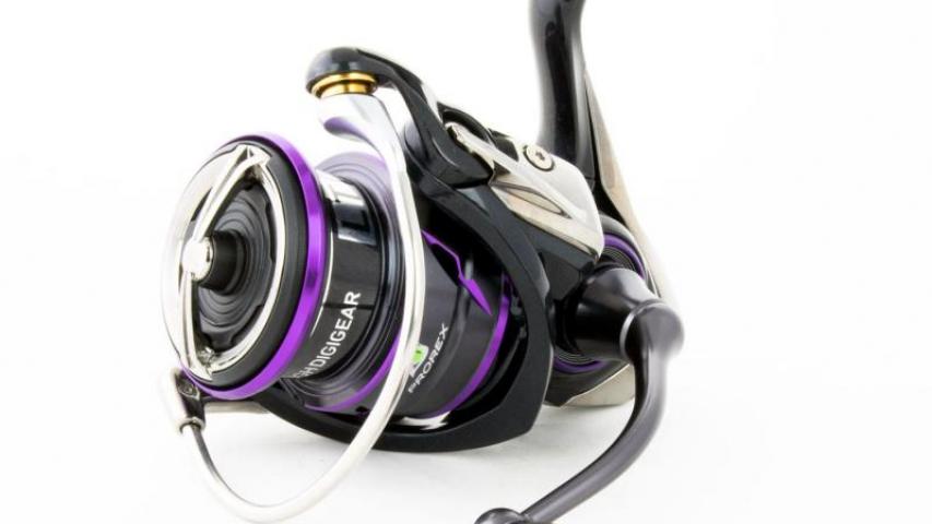 Prorex V LT