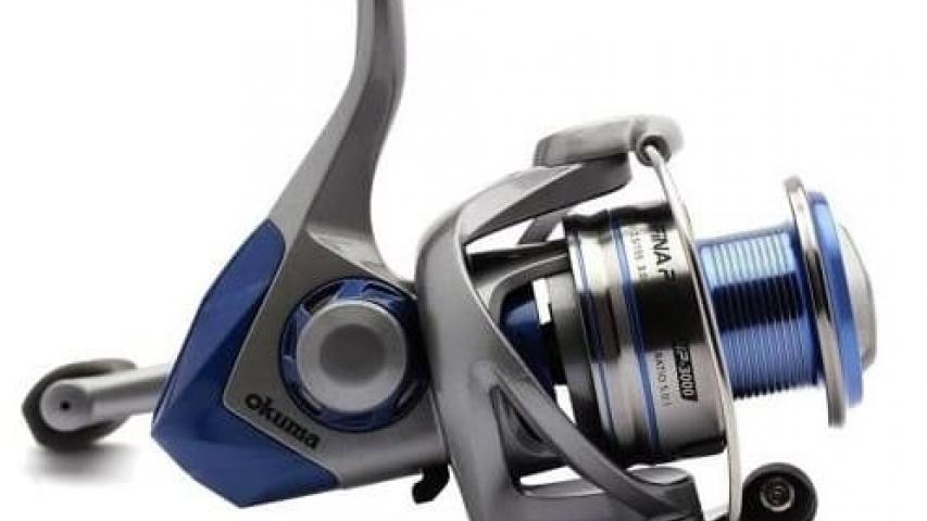 21 Safina Pro right side