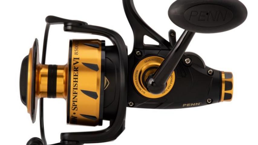 Spinfisher VI  Live Liner