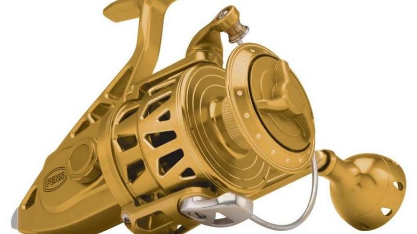 Torque II gold right side