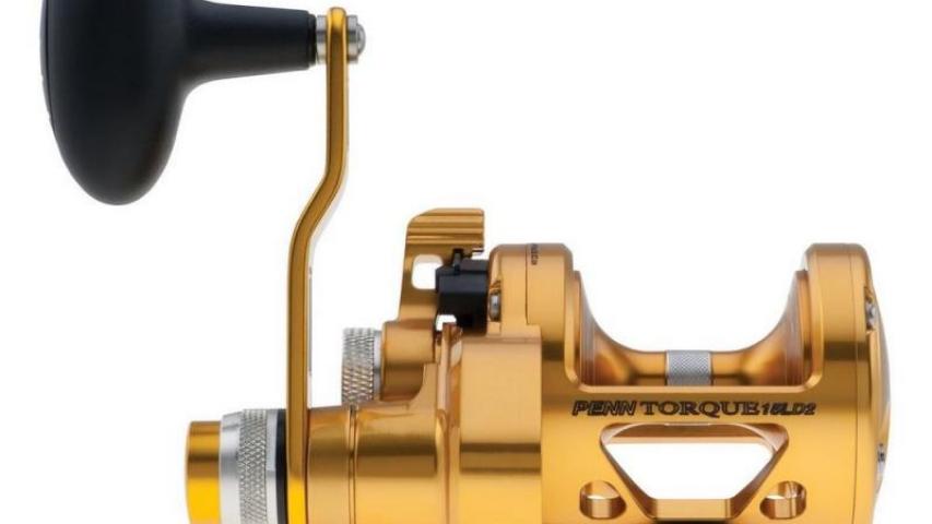 Torque LD 2 Speed gold front