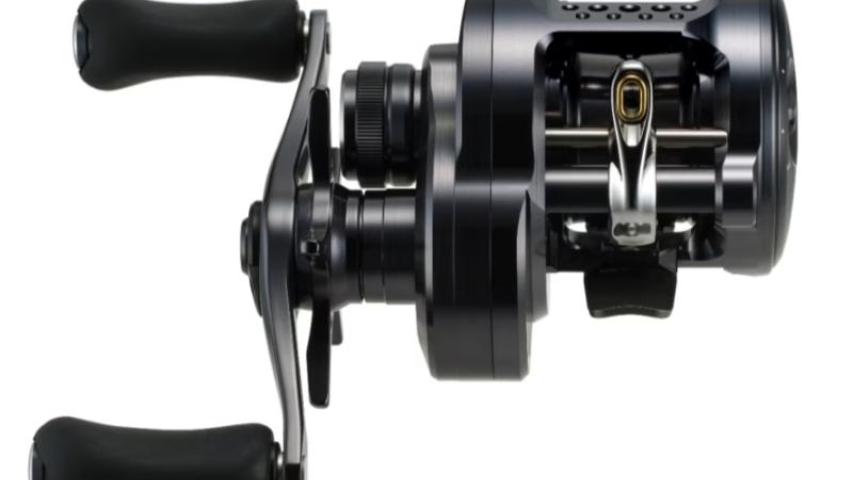 Shimano 24 CALCUTTA CONQUEST SHALLOW EDITION 30HG Right