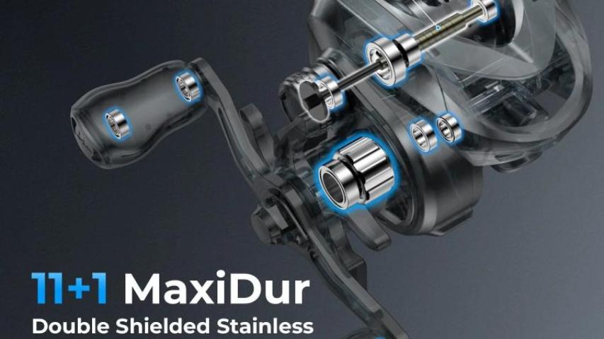 Kestrel BFS bearings map