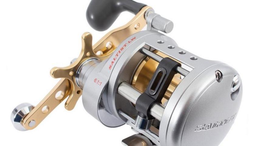 Saltist LW left side